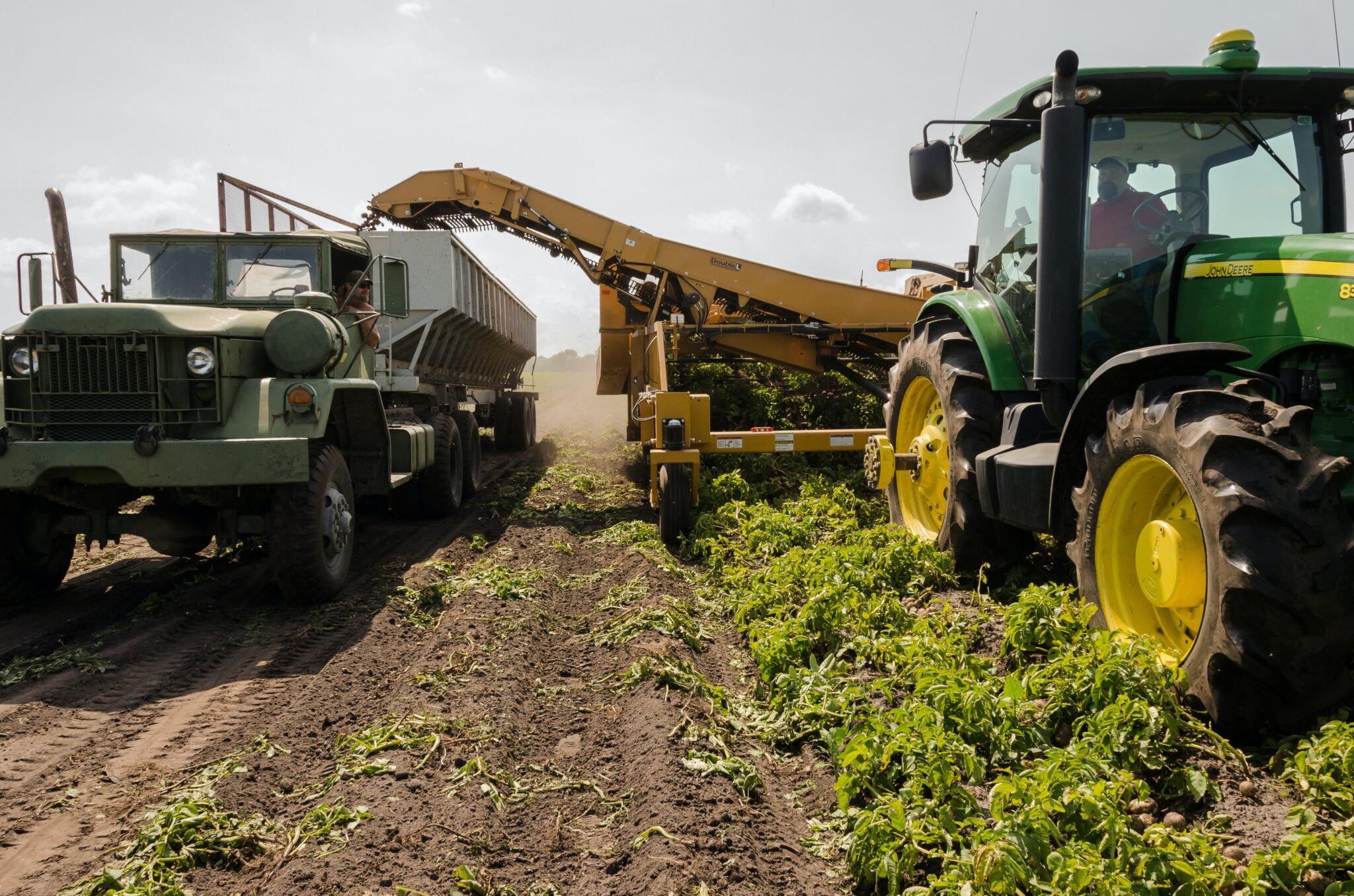 DLF Masterline gewasbeschermingsproducten van H. van Namen B.V. voor effectieve plaag- en ziektebestrijding
